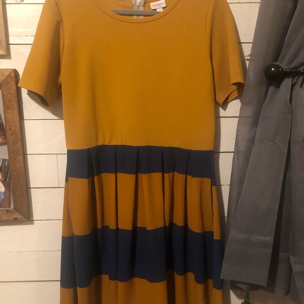 LulaRoe Amelia